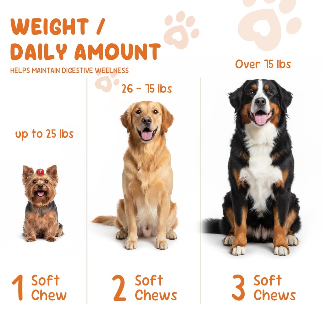 omega-3-fish-oil-90-soft-chews-for-dogs--715R8Ve3zIL.jpg