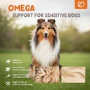 omega-3-fish-oil-90-soft-chews-for-dogs--71IvyllwqCL.jpg
