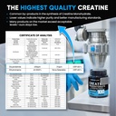 venture-pal-100-pure-micronized-creatine-81bpnG784YL.jpg