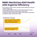 vpkin-liposomal-nmn-supplement-1000mg-11-71BKnm58kXL.jpg