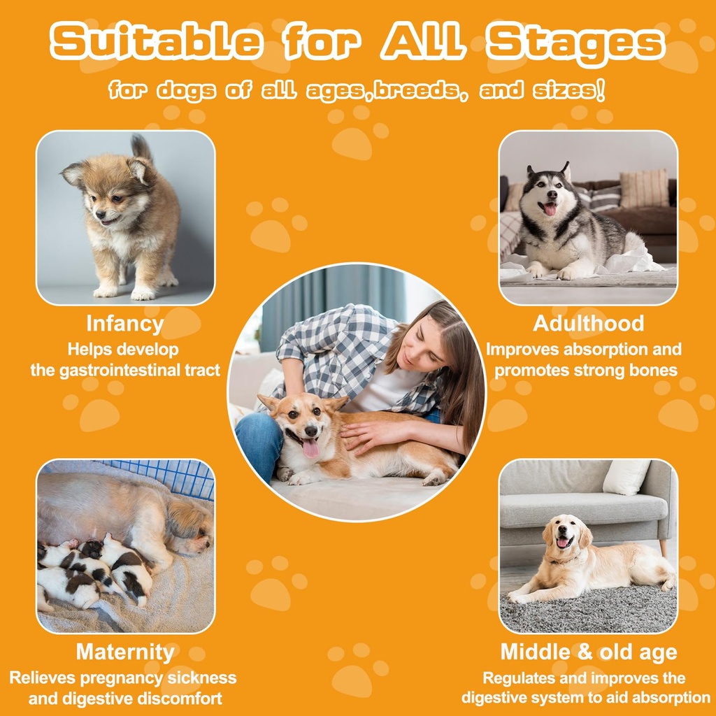 probiotics-for-dogs-cats-with-prebiotics-71znH9qV5BL.jpg