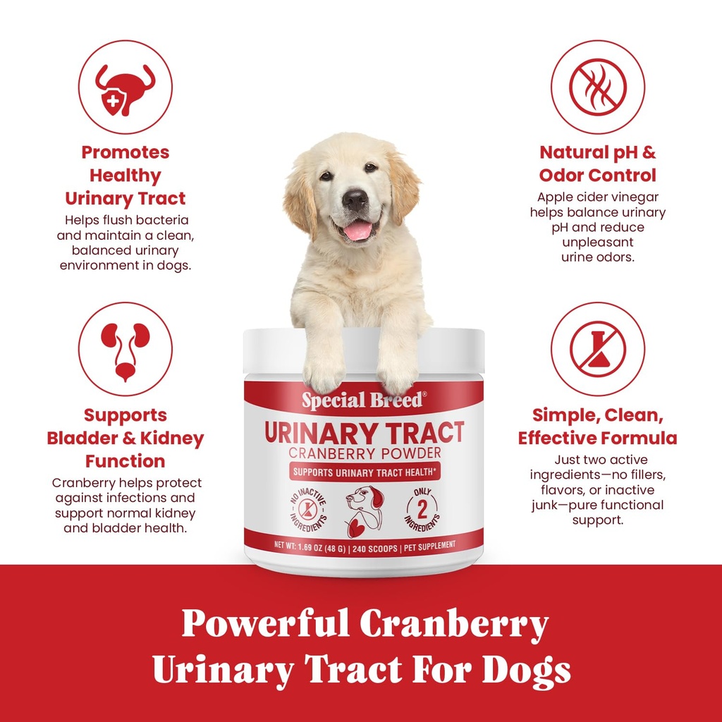 uti-urinary-tract-treatment-for-dogs-cra-71NX4N24PgL.jpg