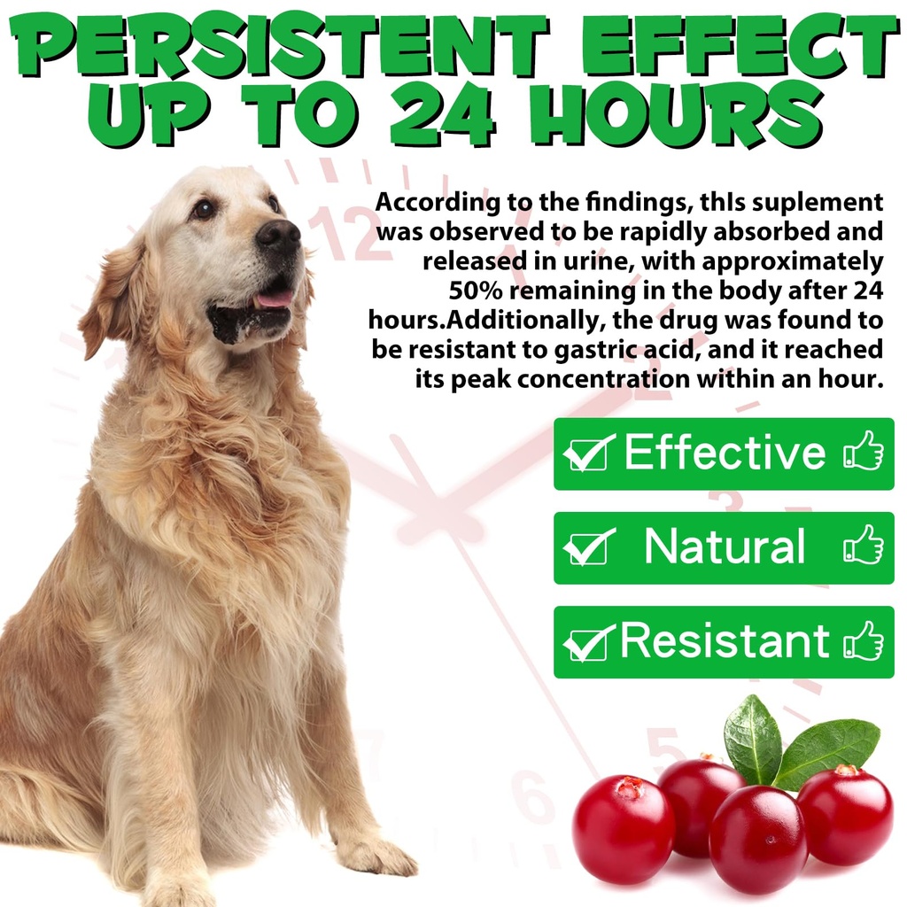 dog-urinary-tract-drops-liquid-cranberry-71SPyRIQGdL.jpg