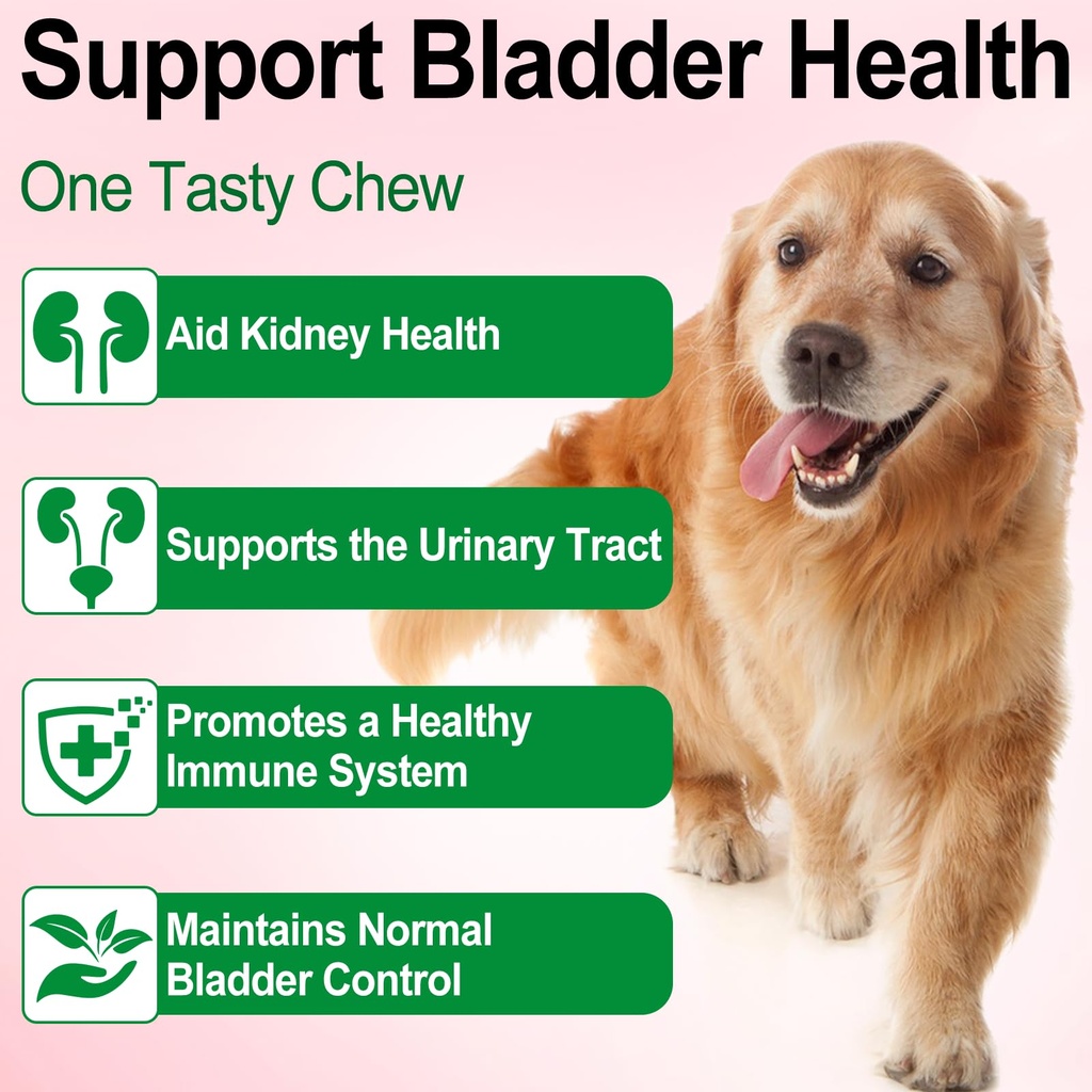 dog-urinary-tract-drops-liquid-cranberry-71g0Bb1Rd4L.jpg
