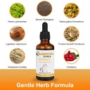 dog-cat-bladder-crystals-treatment-or-st-81aitn6FK4L.jpg
