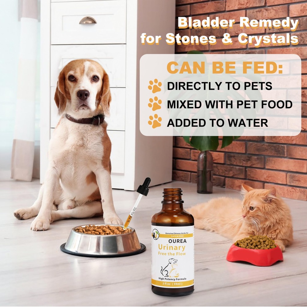 dog-cat-bladder-crystals-treatment-or-st-81rREf4WnAL.jpg