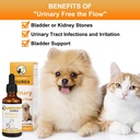 dog-cat-bladder-crystals-treatment-or-st-81JsEchrQHL.jpg