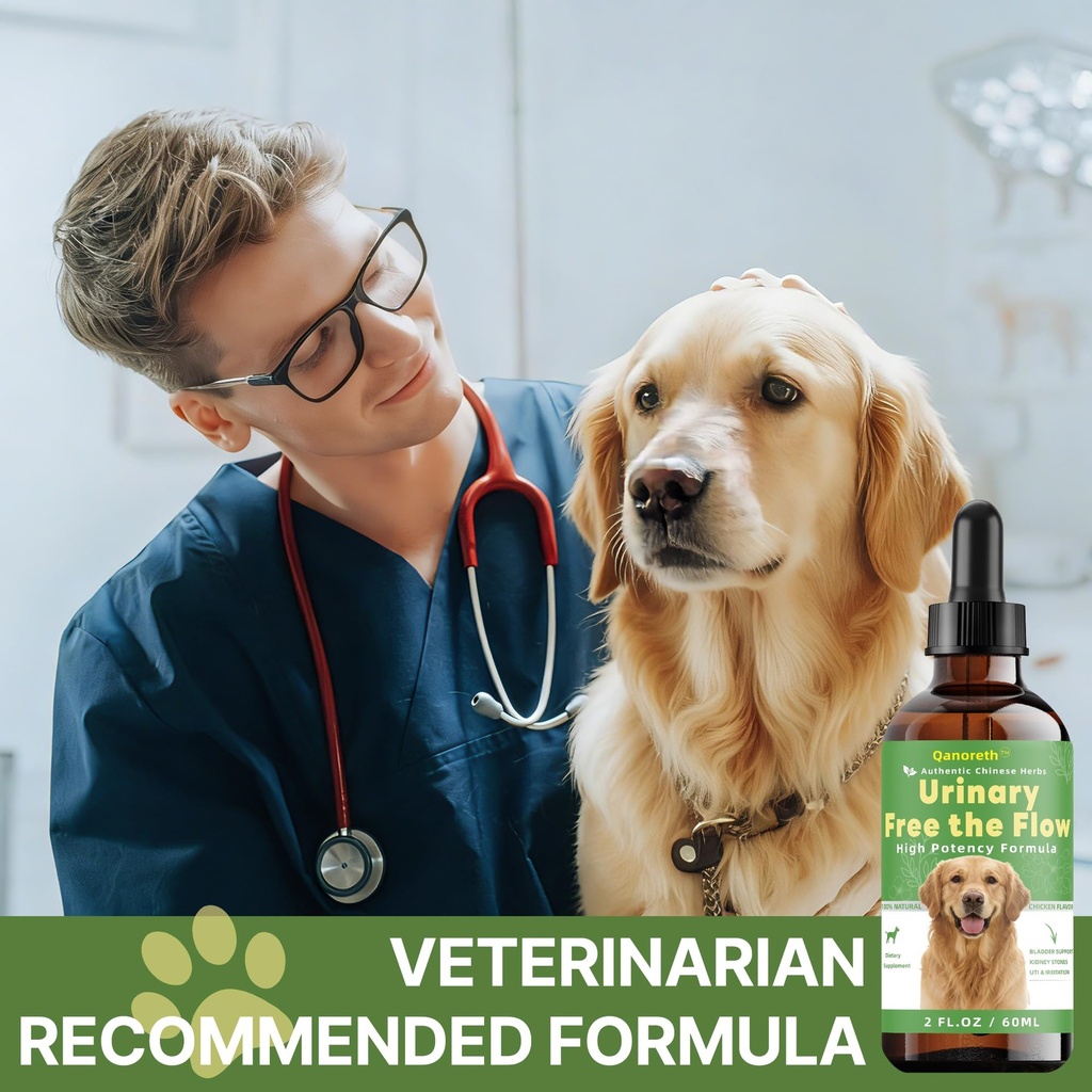 bladder-kidney-stones-dissolver-for-dogs-81IGHJ4Qj9L.jpg