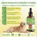 bladder-kidney-stones-dissolver-for-dogs-81FEgkpWjtL.jpg