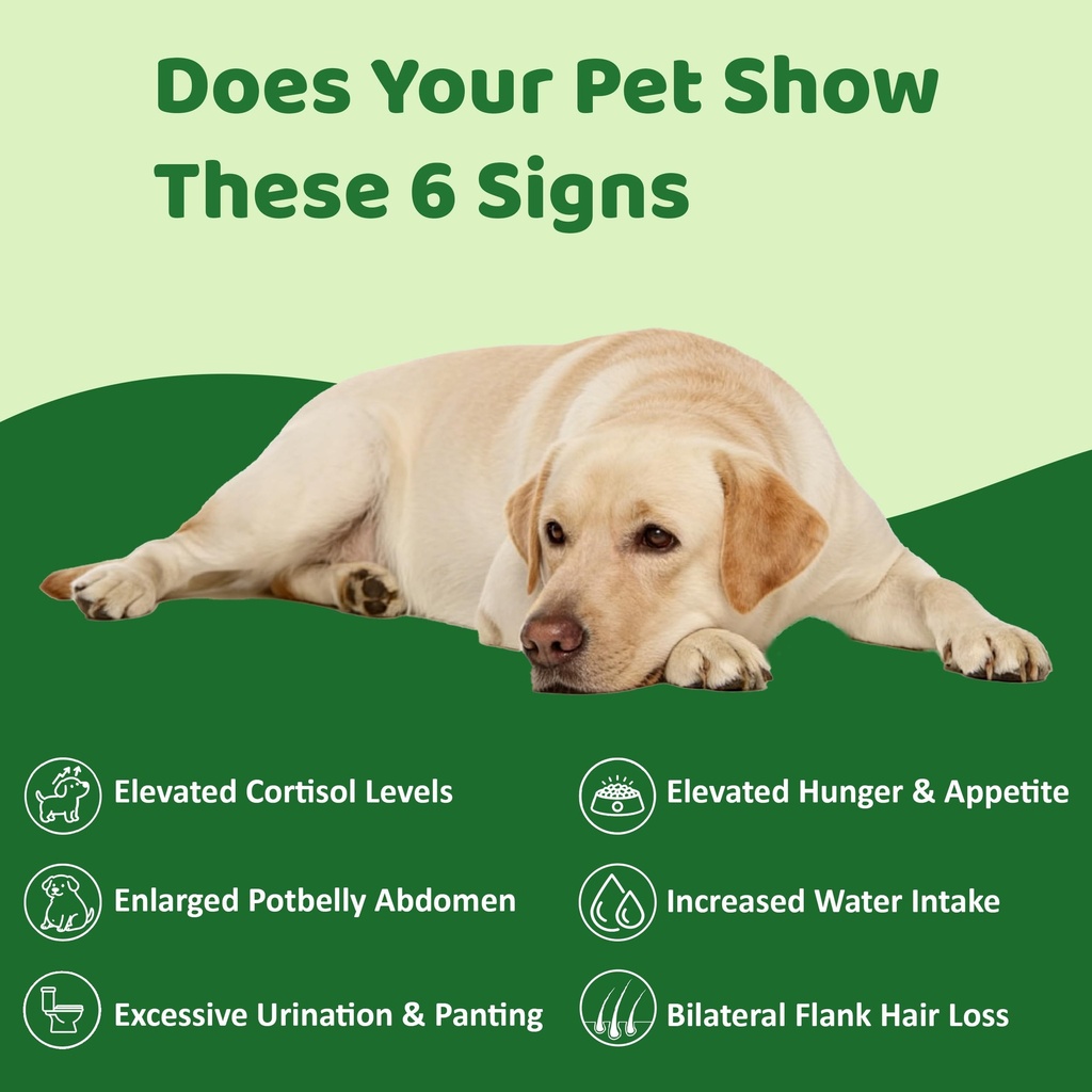 dr-n-l-balance-for-dogs-and-cats-cushing-71-nCbtwk4L.jpg