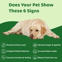 dr-n-l-balance-for-dogs-and-cats-cushing-71-nCbtwk4L.jpg