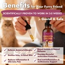 quercetin-natural-antihistamine-for-dogs-71Kyim46r4L.jpg