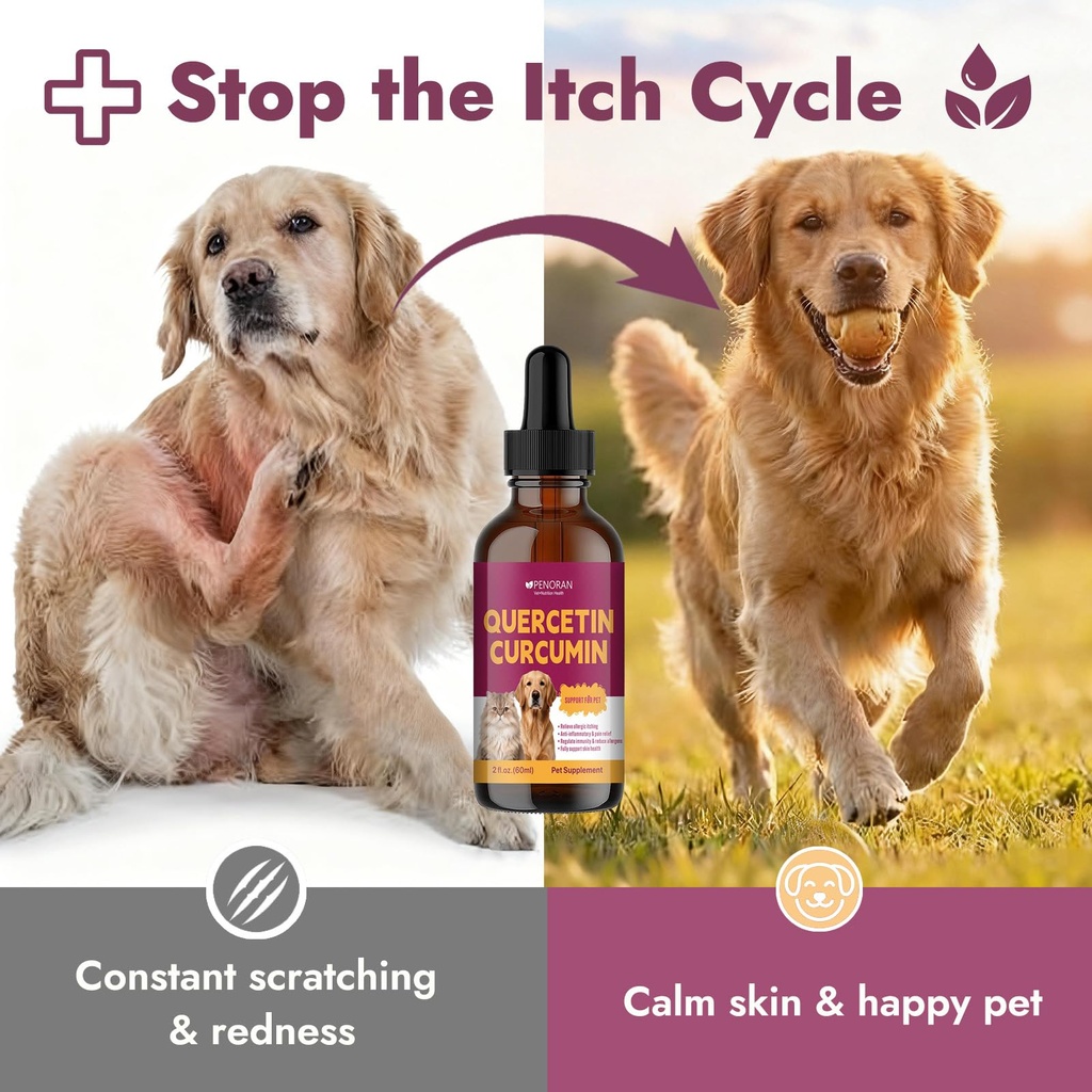 quercetin-natural-antihistamine-for-dogs-71sy5xF2nsL.jpg