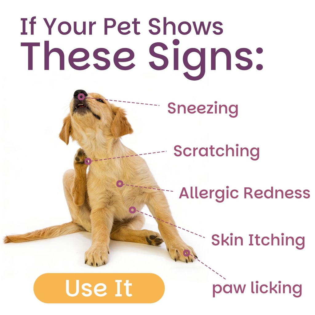 quercetin-natural-antihistamine-for-dogs-71FPYxms4YL.jpg