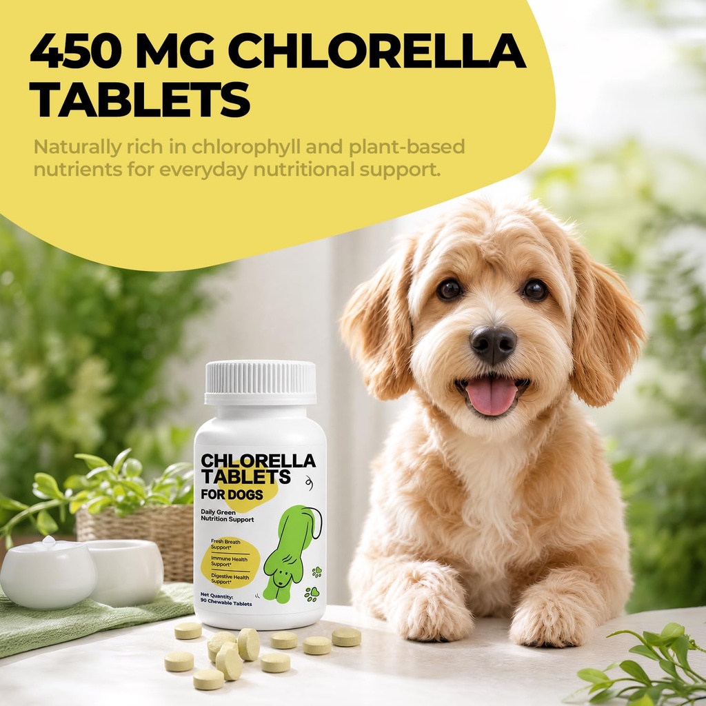 chlorophyll-for-dogs-chlorella-breath-fr-71xikB4-MEL.jpg
