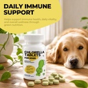 chlorophyll-for-dogs-chlorella-breath-fr-71MZKYoZoVL.jpg