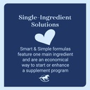 smartequine-smart-simple-flax-2-6-lb-45--61GofgAsEdL.jpg