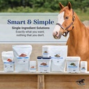 smartequine-smart-simple-flax-2-6-lb-45--81UZtbljmAL.jpg