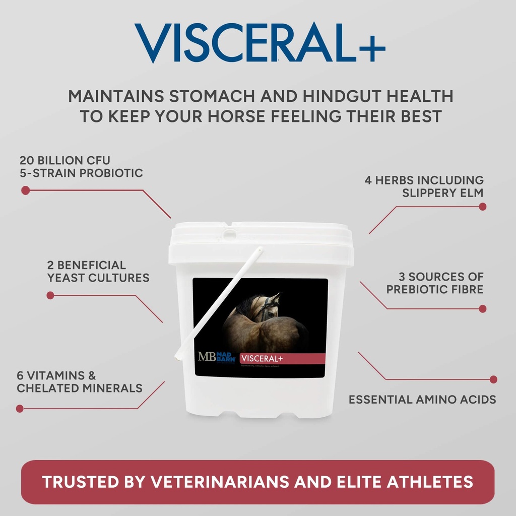 mad-barn-visceral-supplement-for-horse-g-714CtOD8hDL.jpg
