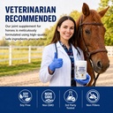 tendon-repair-supplement-horse-equine-te-71grEfIaiLL.jpg
