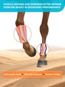 natural-vitamin-e-selenium-for-horses-mu-81OSD8MGn7L.jpg
