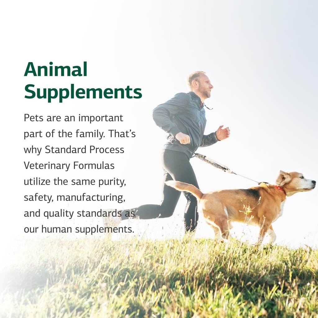 standard-process-canine-hepatic-support--71aV0TMMI0L.jpg