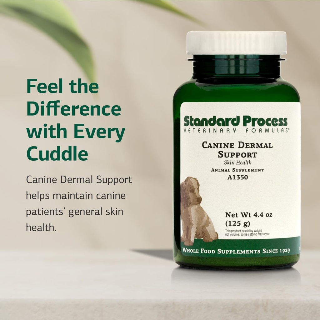 standard-process-canine-dermal-support-1-71Qwr4zzncL.jpg