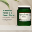standard-process-equine-metabolic-suppor-6137v1WIekL.jpg