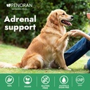 adrenal-balance-harmony-drops-for-dogs-r-71OXv57WghL.jpg