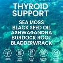 irish-seamoss-thyroid-hormone-regulator--81qrF6JOECL.jpg