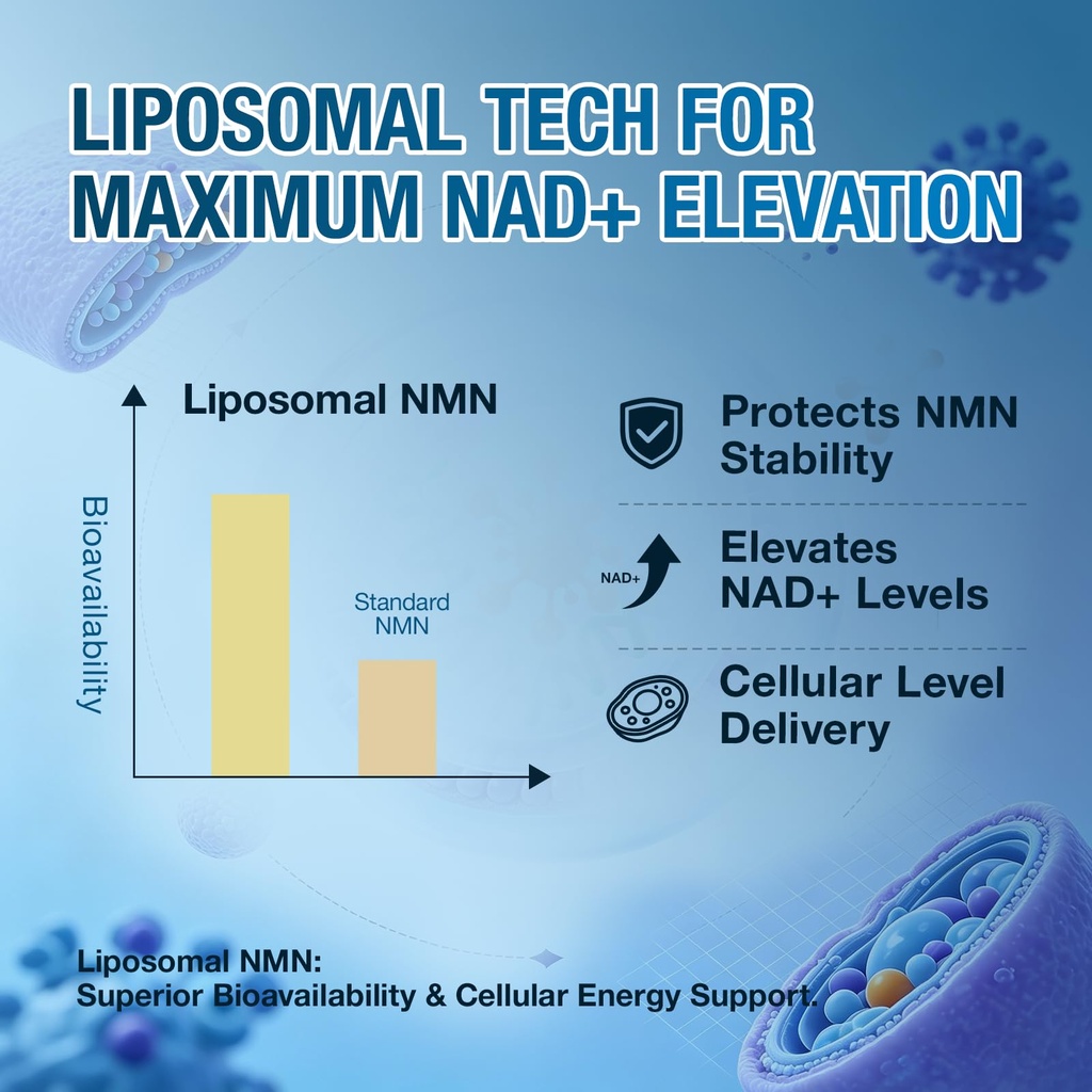 nmn-supplement-500mg-liposomal-nmn-capsu-71Pu4dCIDwL.jpg