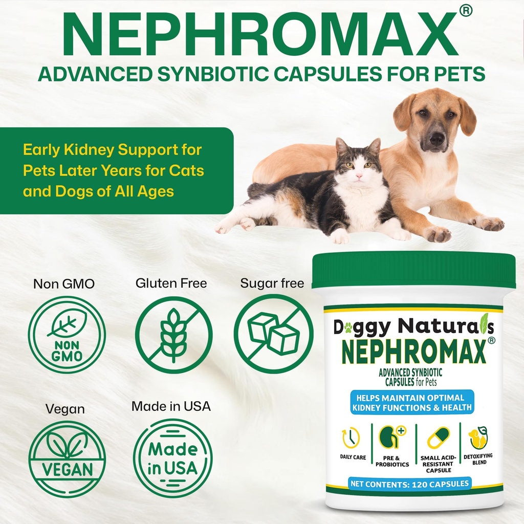 nephromax-synbiotic-capsules-for-kidney--81M-D8h5qiL.jpg