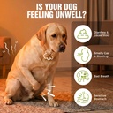 probiotics-for-dogs-soft-chews-for-gut-d-81W--Vp1E6L.jpg