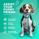 no-poo-chewables-for-dogs---enzymes-dog--2.jpg