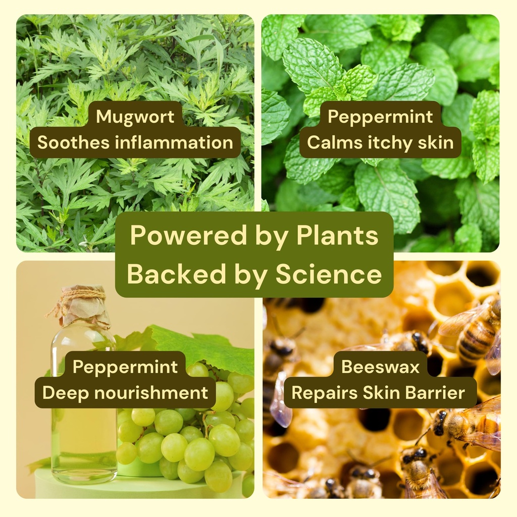 mugwort-peppermint-anti-itch-relief-ecze-81IoPv+FauL.jpg