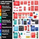 survivex-large-first-aid-kit-emergency-k-91+6KXVn4cL.jpg