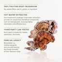 turkey-tail-mushroom-powder-i-gut-health-5.jpg