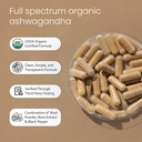 naturalife-labs-organic-ashwagandha-2100-81u6Oq9qdiL.jpg