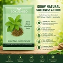 stevia-seeds-stevia-rebaudiana-for-home--714yiNCgaLL.jpg