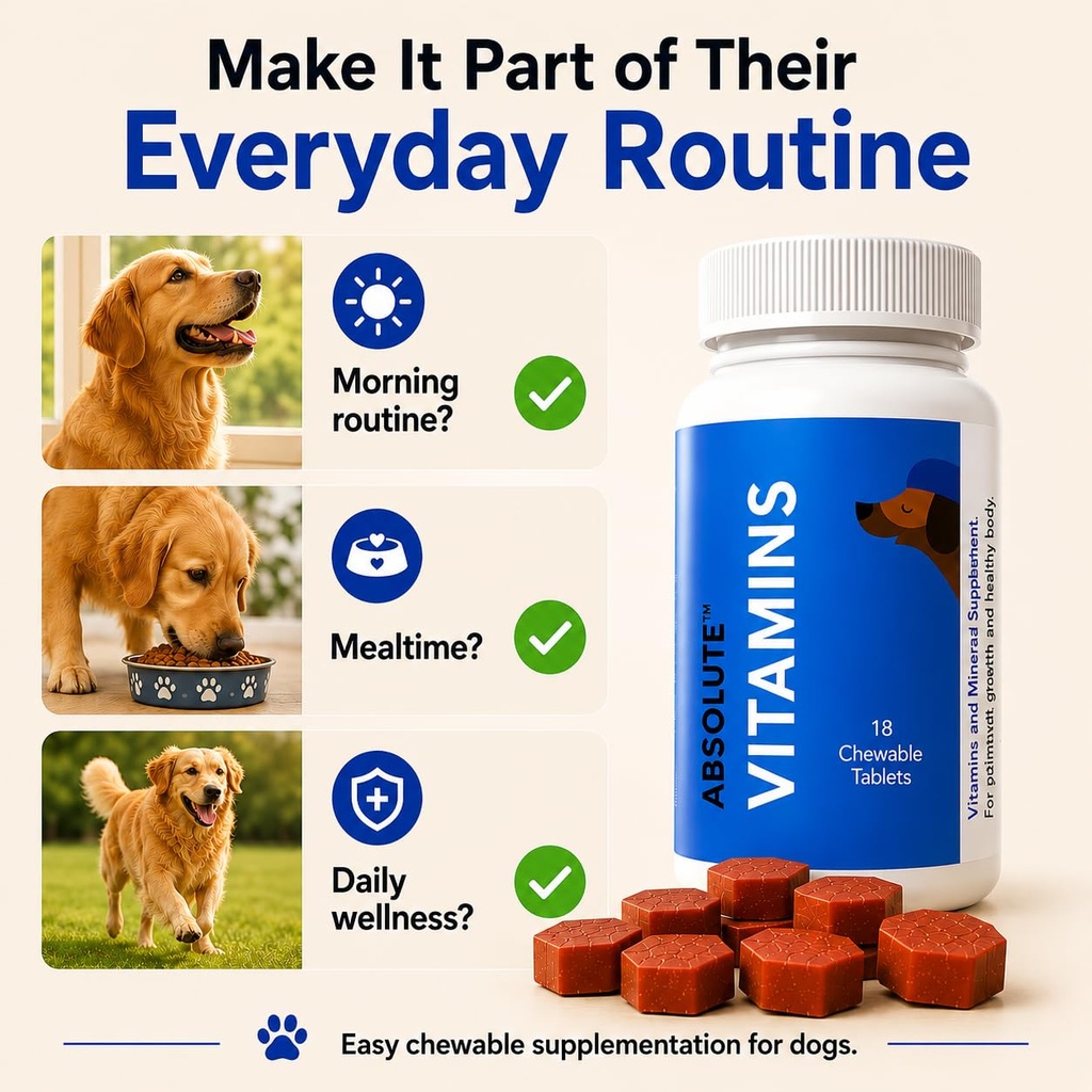 drools-absolute-dog-supplement-tablets-4-71IROEEJbnL.jpg