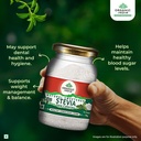 a-tata-product-organic-india-stevia-powd-71TwoxtxIqL.jpg