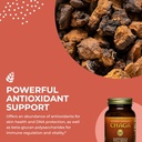 healthforce-superfoods-integrity-extract-4.jpg