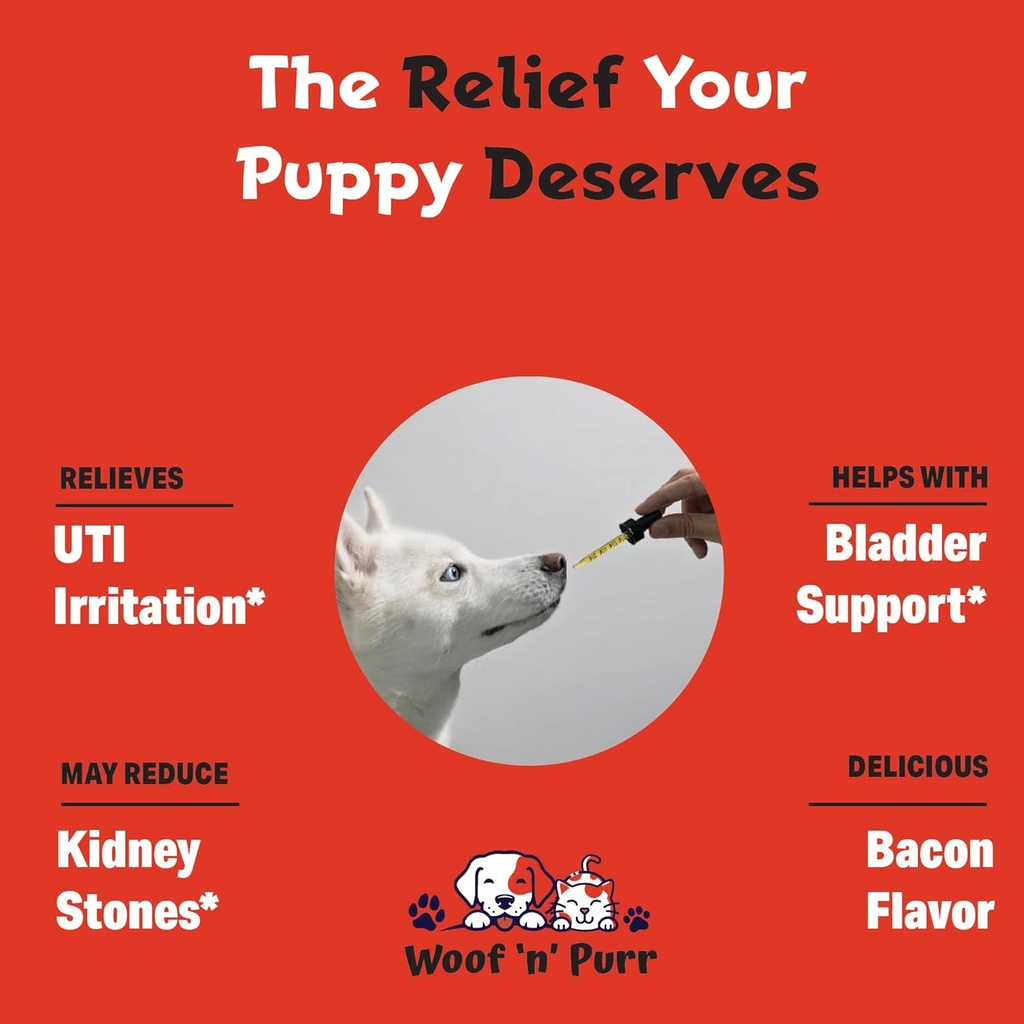 cranberry-supplement-for-dogs---dog-uti--3.jpg