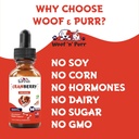 cranberry-supplement-for-dogs---dog-uti--6.jpg