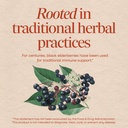 nature-s-way-black-elderberry-575-mg-100-916VA5usoZL.jpg
