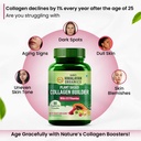 vlado-s-himalayan-organics-organic-colla-71KgQOdR-lL.jpg