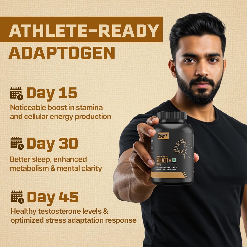 beastlife-himalayan-shilajit-pure-potent-71zTxONYAUL.jpg