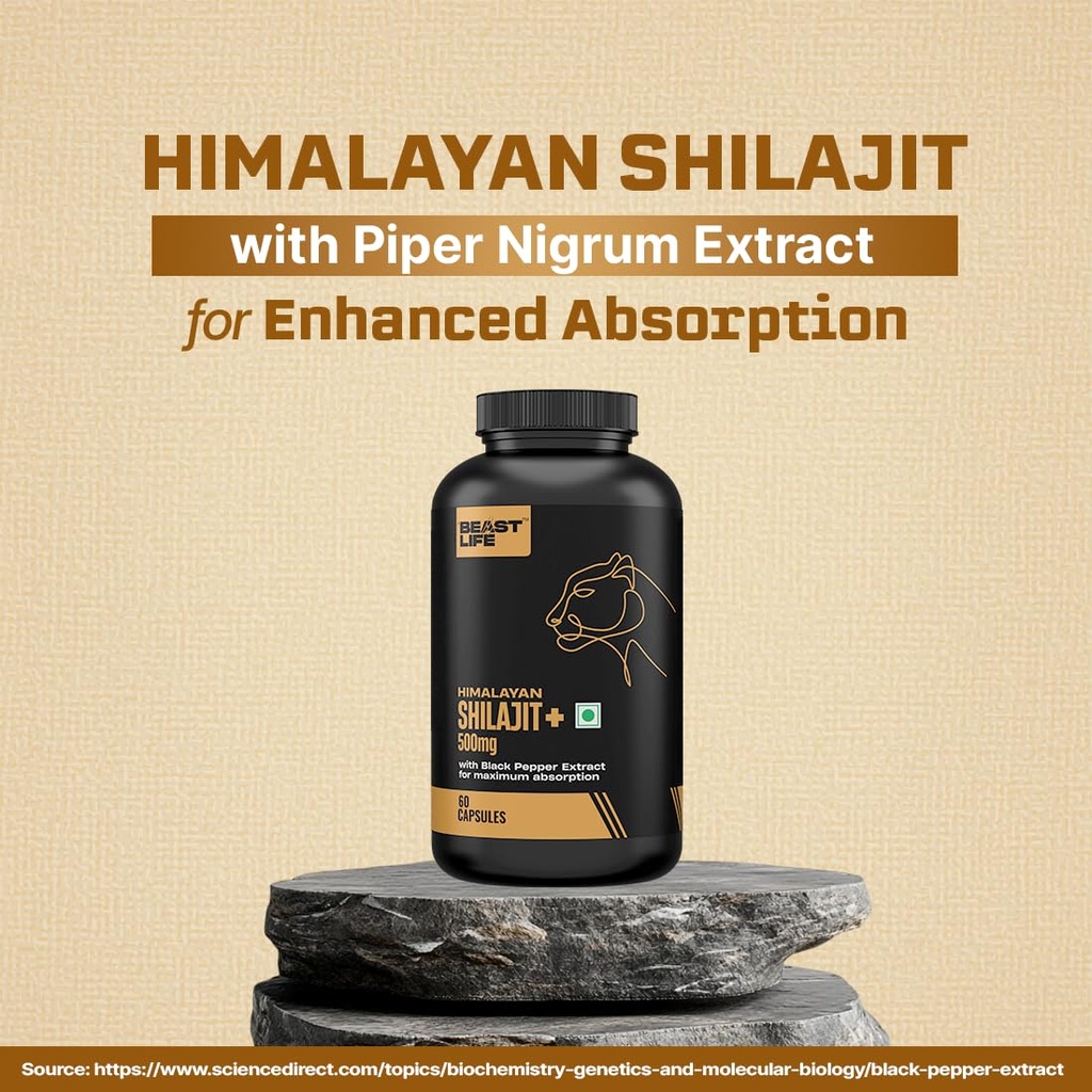 beastlife-himalayan-shilajit-pure-potent-71Aoe2C8umL.jpg