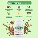 nutrazee-complete-plant-protein-powder-v-713bbmWDZCL.jpg