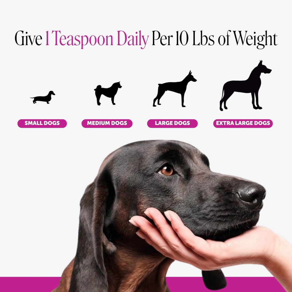 pet-honesty-vet-recommended-dog-multivit-71Fbw85axBL.jpg